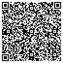 QR code with Camelot Cleaners Inc contacts