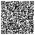 QR code with Y M C A contacts