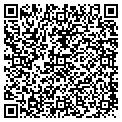 QR code with Bace contacts