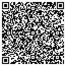 QR code with Cybernet Engineering contacts