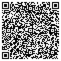 QR code with M-Fit contacts