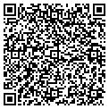 QR code with M-Fit contacts