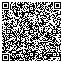 QR code with Putnam Cabinets contacts