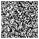 QR code with Prof Cnslng Service contacts