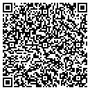 QR code with Pueblo Properties contacts