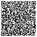 QR code with Curves contacts