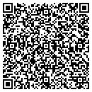 QR code with Carl S Custom Cutting contacts
