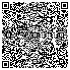 QR code with Baldwin Public Library contacts