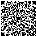 QR code with Cygnus Systems Inc contacts