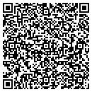 QR code with Cygnus Systems Inc contacts