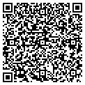 QR code with Signtech contacts