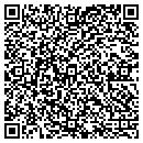 QR code with Collier's Construction contacts