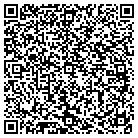 QR code with Blue Water Technologies contacts