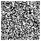 QR code with Productive Systems Inc contacts