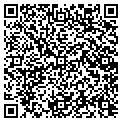 QR code with Sepco contacts
