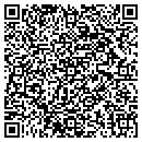 QR code with Pzk Technologies contacts