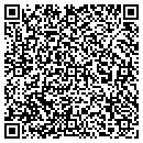 QR code with Clio Sand & Soli Inc contacts