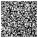 QR code with Brians Small Engine contacts