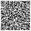 QR code with Borroughs Corp contacts