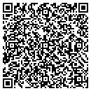 QR code with Chestney Tree Service contacts