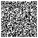 QR code with Praisetoys contacts