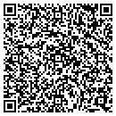 QR code with Public Storage contacts