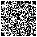 QR code with Blue Sky Power Wash contacts