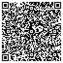 QR code with Big Rapids Pet Salon contacts