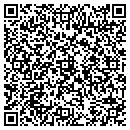 QR code with Pro Auto Tech contacts