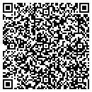 QR code with Pro Painting Inc contacts