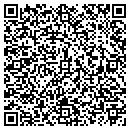 QR code with Carey's Feed & Grain contacts