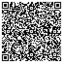 QR code with Prof Typing Service contacts