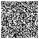 QR code with Cedar Valley Antiques contacts