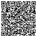 QR code with Madsif contacts