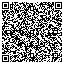 QR code with Primary Space Gallery contacts