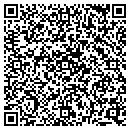 QR code with Public Storage contacts