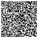 QR code with Public Storage contacts