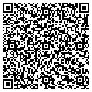 QR code with Camel Water Service contacts