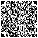 QR code with Pp Consulting contacts