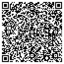 QR code with Process Systems Inc contacts