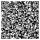 QR code with Pro File Painting contacts