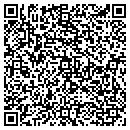 QR code with Carpets In Fashion contacts