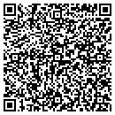 QR code with Public Missiles LTD contacts