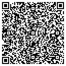 QR code with Precise Payroll contacts