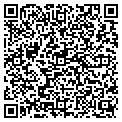 QR code with Allied contacts