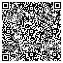 QR code with Process By Design contacts