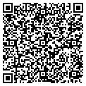 QR code with New Ewe contacts