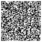 QR code with Public Service Director contacts