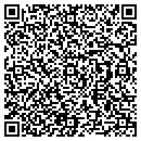 QR code with Project Find contacts