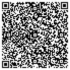 QR code with Public Safety Resources contacts